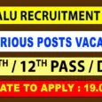 TNDALU Non Teaching Recruitment 2022