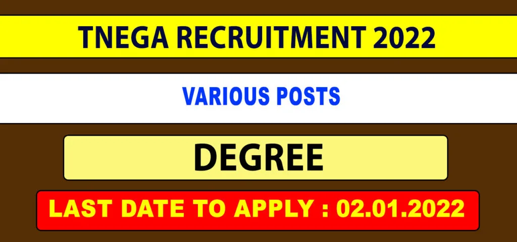 TNeGA Recruitment 2022