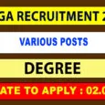 TNeGA Recruitment 2022